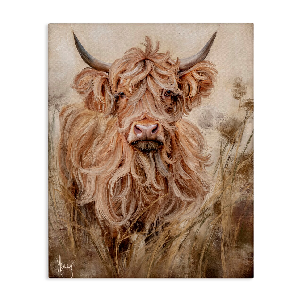 Stupell Industries Curly Haired Highland Cattle Canvas, design by Ashley Bradley
